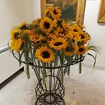 Appartamento Apartment/studio Il Girasole