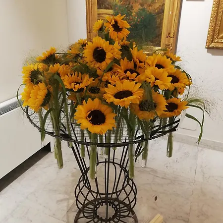 Lägenhet Apartment/studio Il Girasole