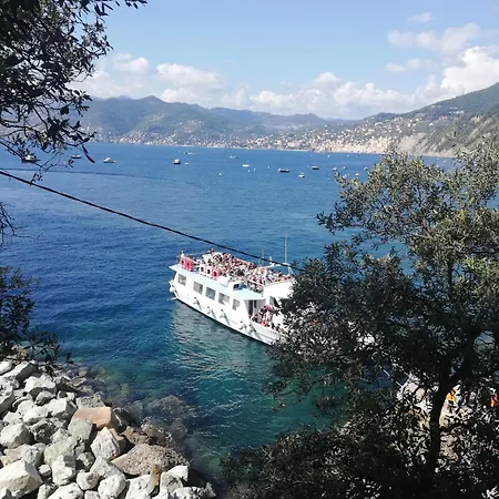 Appartement Apartment/studio Il Girasole *